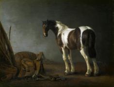 Картина Лошадь и седло, Абрахам ван Калрает